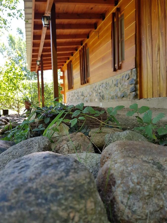 Hotel Cabanas Brisas Del Bosque Villa Ciudad Parque Exterior foto